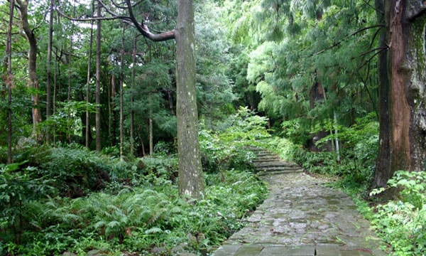 熊野古道